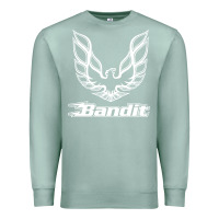 Seafoam bandit Premium Sweatshirt - artisFamous