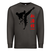 Smoke shotokan karate Premium Sweatshirt - artisFamous