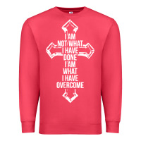 Cardinal christian recovery Premium Sweatshirt - artisFamous