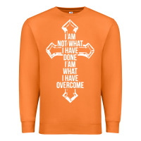 Carrot christian recovery Premium Sweatshirt - artisFamous