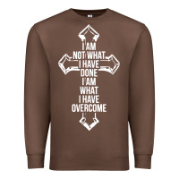 Chestnut christian recovery Premium Sweatshirt - artisFamous