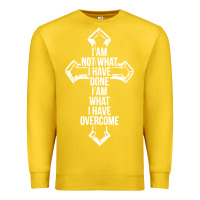 Lemon christian recovery Premium Sweatshirt - artisFamous