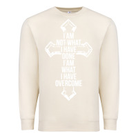 Sandshell christian recovery Premium Sweatshirt - artisFamous