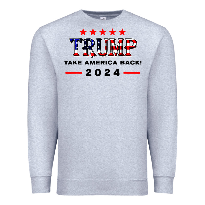 Donald Trump 2024 Take America Back Election Premium Sweatshirt by artisFamous | Teevron