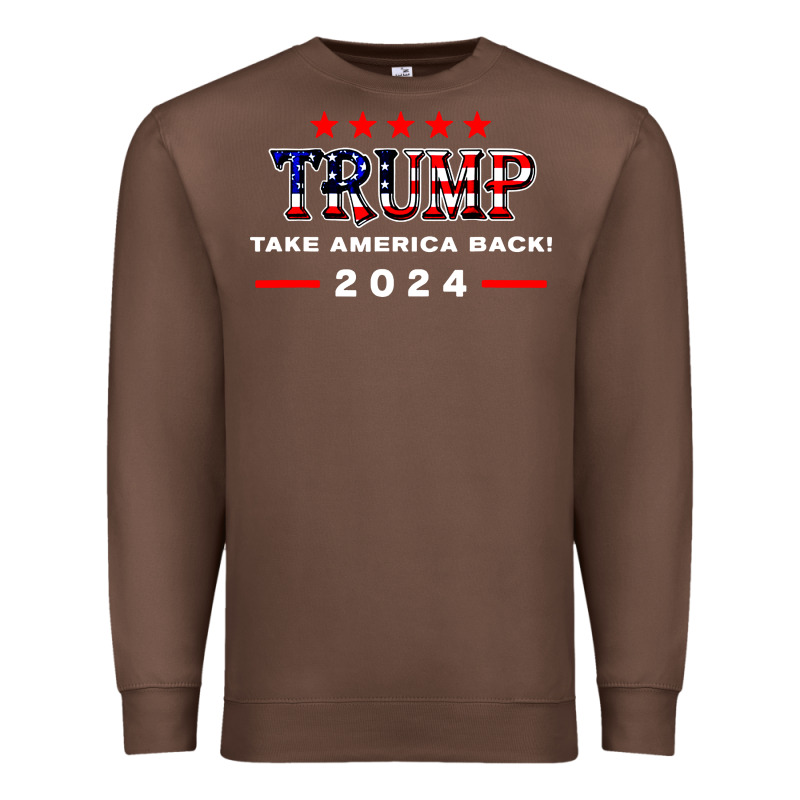 Donald Trump 2024 Take America Back Election Premium Sweatshirt by artisFamous | Teevron