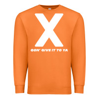 Carrot x gon' give it to ya d.m.x t shirt Premium Sweatshirt - artisFamous