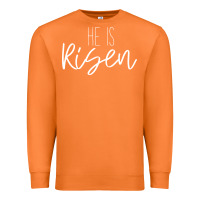 Carrot easter religious bible verse Premium Sweatshirt - artisFamous