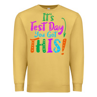 Antique Gold it's test day you got this Premium Sweatshirt - artisFamous