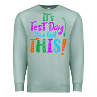 Seafoam it's test day you got this Premium Sweatshirt - artisFamous