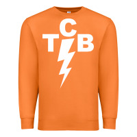 Carrot taking care of business rock n roll Premium Sweatshirt - artisFamous