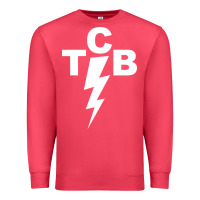 Cardinal taking care of business rock n roll Premium Sweatshirt - artisFamous