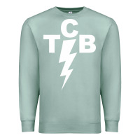 Seafoam taking care of business rock n roll Premium Sweatshirt - artisFamous