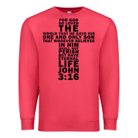 Cardinal John 3:16 Bible Verse Cool Christian Church Shirts Christianity Premium Sweatshirt - artisFamous