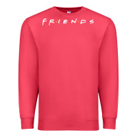 Cardinal Friends Premium Sweatshirt - artisFamous