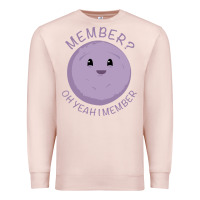 Pale Pink member berries Premium Sweatshirt - artisFamous