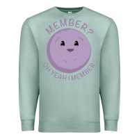 Seafoam member berries Premium Sweatshirt - artisFamous