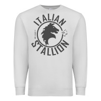 Dove Grey Italian Stallion Premium Sweatshirt - artisFamous