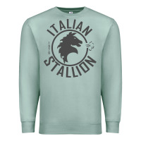 Seafoam Italian Stallion Premium Sweatshirt - artisFamous