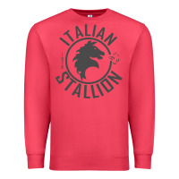 Cardinal Italian Stallion Premium Sweatshirt - artisFamous