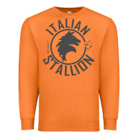 Carrot Italian Stallion Premium Sweatshirt - artisFamous