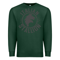 Sports Green Italian Stallion Premium Sweatshirt - artisFamous