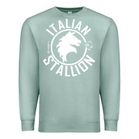 Seafoam Italian Stallion Premium Sweatshirt - artisFamous