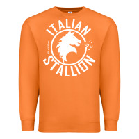 Carrot Italian Stallion Premium Sweatshirt - artisFamous