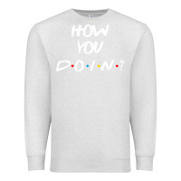 Oatmeal Heather friends how you doin reunion Premium Sweatshirt - artisFamous