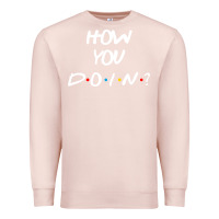 Pale Pink friends how you doin reunion Premium Sweatshirt - artisFamous