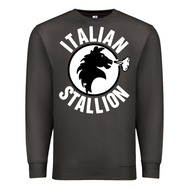 Italian Stallion Premium Sweatshirt by artisFamous | Teevron