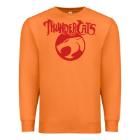 Carrot Thunders Cats Premium Sweatshirt - artisFamous