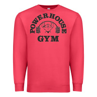 Cardinal power hause gym Premium Sweatshirt - artisFamous