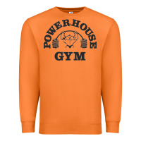 Carrot power hause gym Premium Sweatshirt - artisFamous