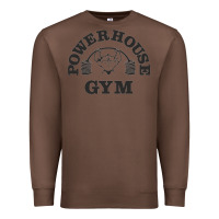 Chestnut power hause gym Premium Sweatshirt - artisFamous