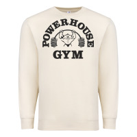 Sandshell power hause gym Premium Sweatshirt - artisFamous