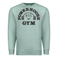 Seafoam power hause gym Premium Sweatshirt - artisFamous