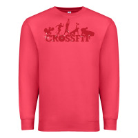Cardinal crossfit gym Premium Sweatshirt - artisFamous