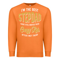 Carrot I'm The Best Stepdad | Father's Day Premium Sweatshirt - artisFamous