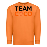Carrot Team Coco Premium Sweatshirt - artisFamous