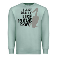 Seafoam i just really like pelicans okay Premium Sweatshirt - artisFamous