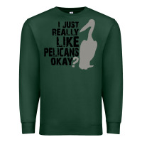 I Just Really Like Pelicans Okay Premium Sweatshirt | Teevron
