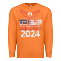 Carrot trump 2024 take america back Premium Sweatshirt - artisFamous