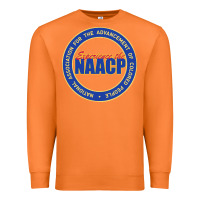 Carrot experience the naacp Premium Sweatshirt - artisFamous