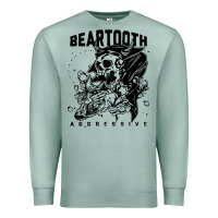 Seafoam Beartooth Premium Sweatshirt - artisFamous
