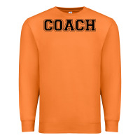 Carrot coach Premium Sweatshirt - artisFamous