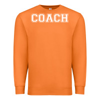 Carrot coach Premium Sweatshirt - artisFamous