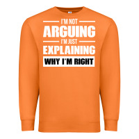 Carrot I'M NOT ARGUING I'M JUST EXPLAINING WHY I'M RIGHT FUNNY Premium Sweatshirt - artisFamous