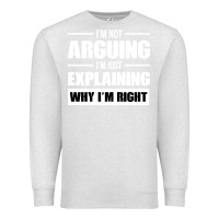 Oatmeal Heather I'M NOT ARGUING I'M JUST EXPLAINING WHY I'M RIGHT FUNNY Premium Sweatshirt - artisFamous