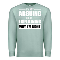 Seafoam I'M NOT ARGUING I'M JUST EXPLAINING WHY I'M RIGHT FUNNY Premium Sweatshirt - artisFamous