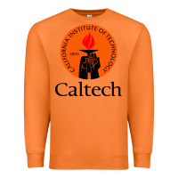 Carrot caltech california institute Premium Sweatshirt - artisFamous